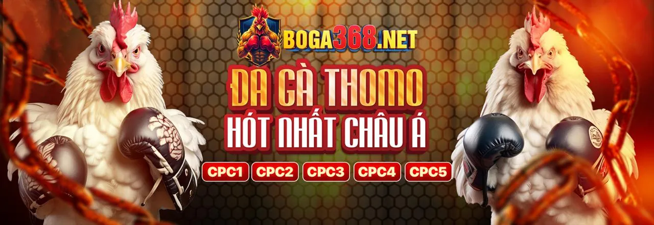 Đá gà trực tuyến 13win 2026